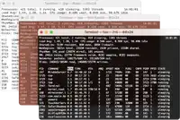 Screenshot: MacOS - Terminal